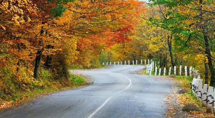 A scenic fall road