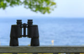 Enjoy a relaxing view of the ocean at our Camden, Maine bed and breakfast