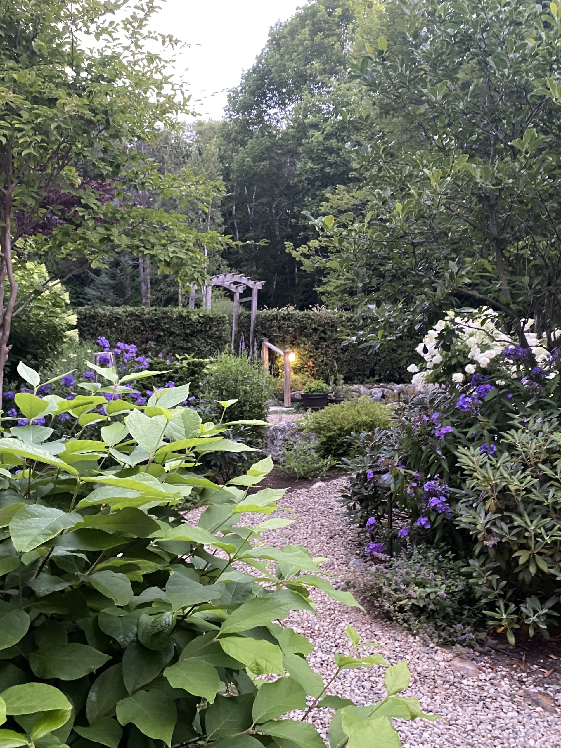 Relaxing hammock at coastal Maine inn