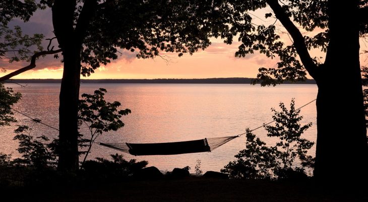 A hammock between two trees