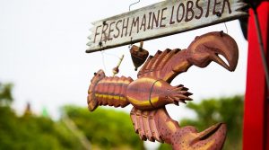 Lobster sign at the Maine Lobster Festival