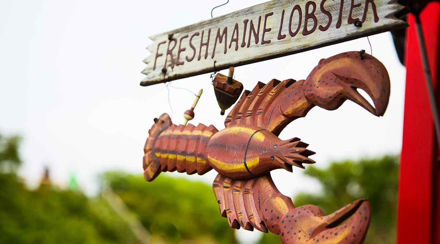 Enjoy fresh lobster in Maine