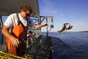 Maine Lobster Experience