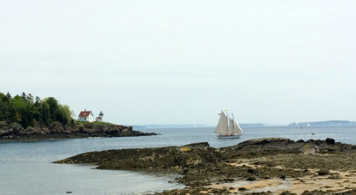 Sailboat on the water