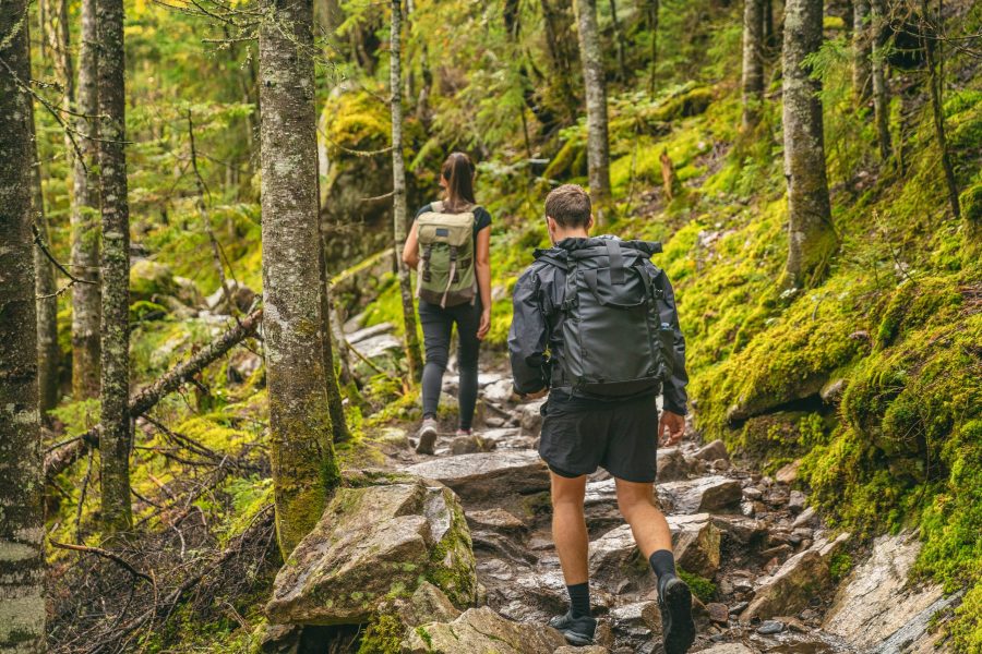 Maine Coast Hiking - One of the Fun Things to Do in Camden